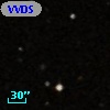 VVDS 220252461