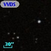 VVDS 220253535