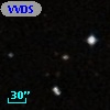 VVDS 220253743