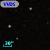 VVDS 220253868