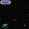 VVDS 220253991