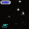 VVDS 220254088