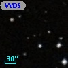 VVDS 220255989