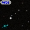 VVDS 220256791