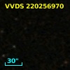 VVDS 220256970