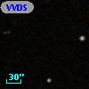 VVDS 220257340
