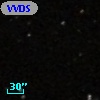 VVDS 220257563