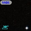 VVDS 220257841