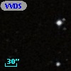 VVDS 220257992