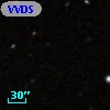 VVDS 220258088