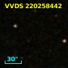 VVDS 220258442