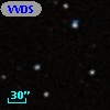 VVDS 220258745
