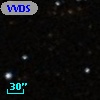 VVDS 220258778