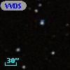VVDS 220259929