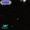 VVDS 220261816