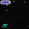 VVDS 220263787