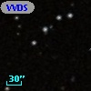VVDS 220264890