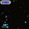 VVDS 220265246