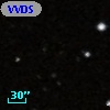 VVDS 220265957