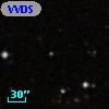 VVDS 220266383
