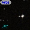 VVDS 220266495