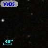 VVDS 220266730