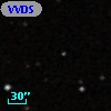 VVDS 220266731