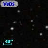 VVDS 220267266