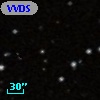 VVDS 220267712