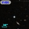 VVDS 220269732
