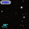 VVDS 220269802