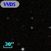 VVDS 220271766