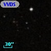 VVDS 220271833