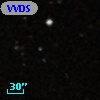 VVDS 220271883