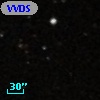 VVDS 220271887