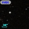 VVDS 220273730