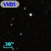 VVDS 220273775
