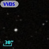 VVDS 220275464