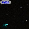VVDS 220275730