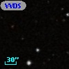 VVDS 220276287