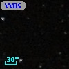 VVDS 220277431