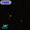 VVDS 220278611