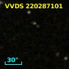 VVDS 220287101