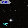 VVDS 220287506