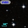 VVDS 220287703