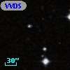 VVDS 220287771