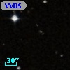 VVDS 220288117