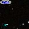 VVDS 220288310