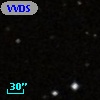 VVDS 220289092