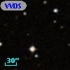 VVDS 220289741